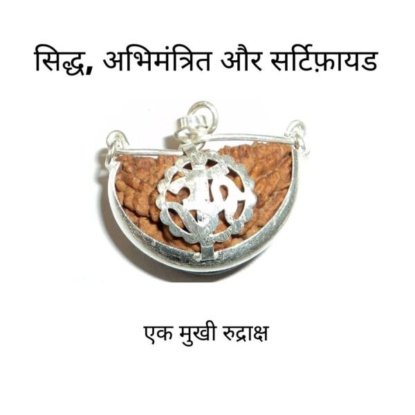 1 Mukhi Rudraksha Pendent New