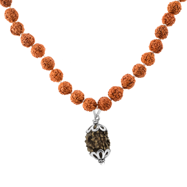 3 Mukhi Rudraksha Mala