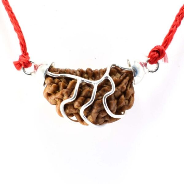 1 Mukhi Rudraksha Pendent