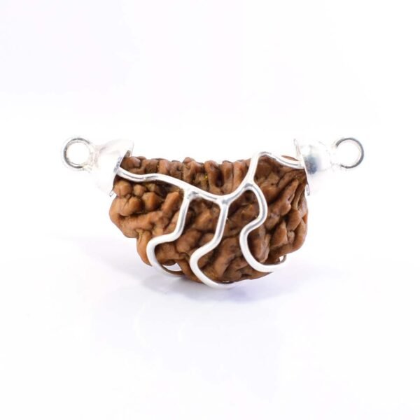 1 Mukhi Rudraksha Pendent - Image 2