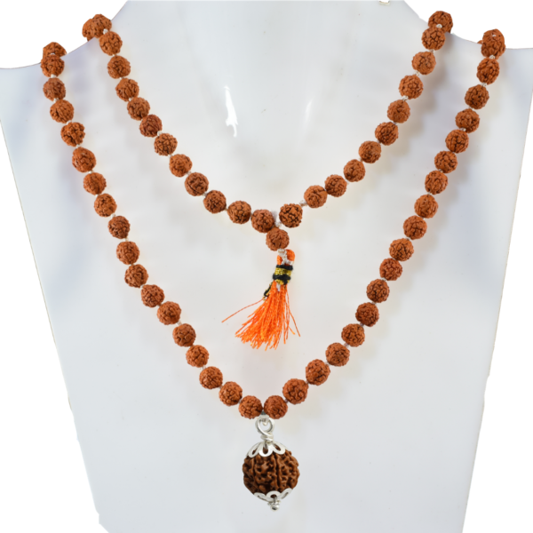 6 Mukhi Rudraksha Mala - Image 2