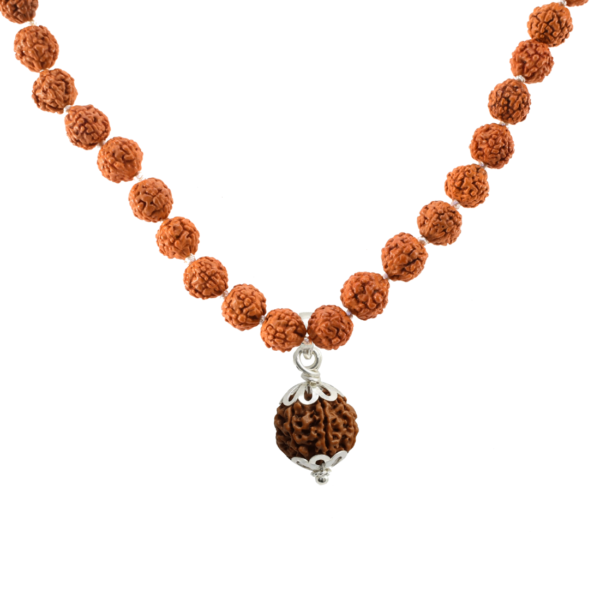 6 Mukhi Rudraksha Mala