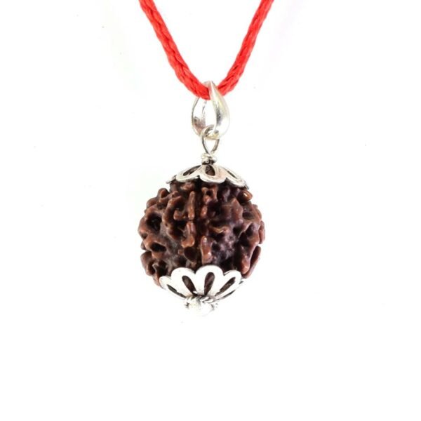 4 Mukhi Rudraksha Pendent