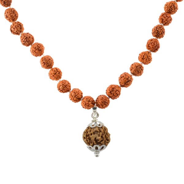 5 Mukhi Rudraksha Mala