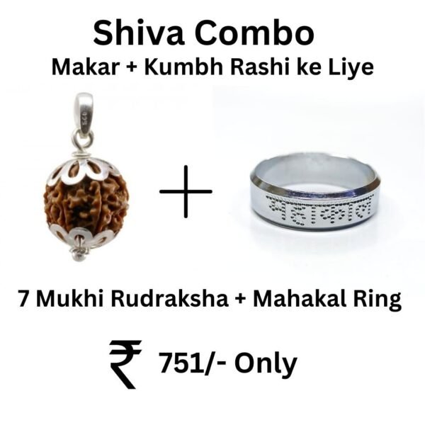 मकर और कुंभ राशि के लिए Shiva Combo