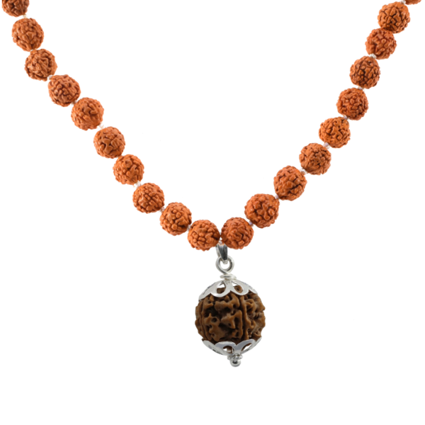 4 Mukhi Rudraksha Mala