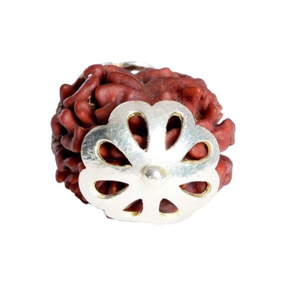 3 Mukhi Rudraksha Pendent - Image 3