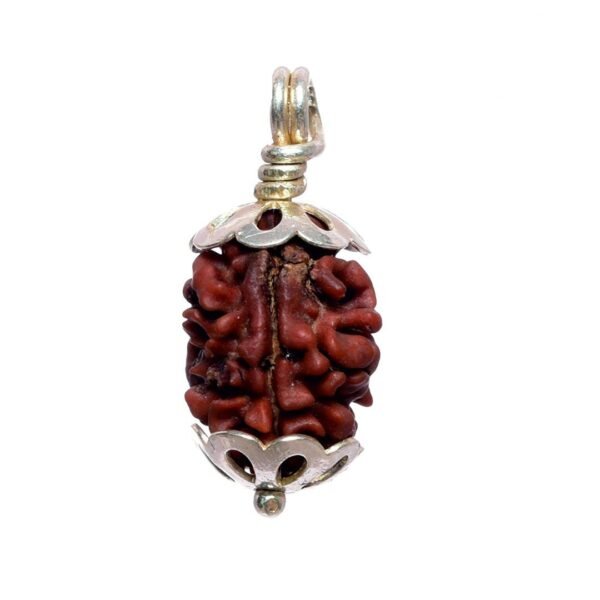 3 Mukhi Rudraksha Pendent